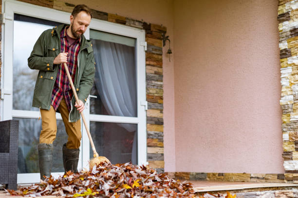 Best Professional Junk Removal  in Dickson City, PA